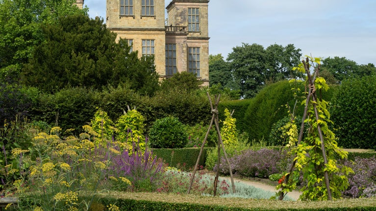 Harden Garden at Hardwick in August with a view of the Hall in the background.
